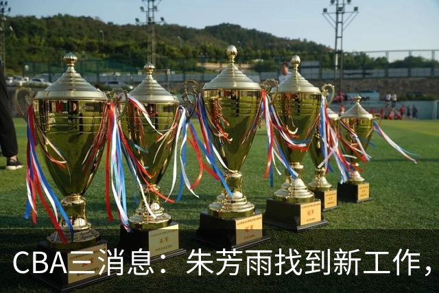 CBA三消息：朱芳雨找到新工作，杜锋儿子试训辽宁，广东签3名教练